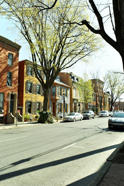 A street scene in Maryland with a row of Victorian terraced houses featuring brick facades, sash windows, and front steps leading to entrances. Tall, leafless trees with thin branches line the pavement, casting shadows across the street. Several parked cars, including sedans and hatchbacks, are aligned along the curb, with some partially obscured by the trees. The sky is clear and bright, indicating daytime. The image captures the outdoor environment typical of residential areas and highlights the potential access challenges faced during house removals or home relocations, as visualized by the surrounding architecture and street layout. Man with Van Maryland's services are relevant to such urban moving scenarios involving furniture transport, loading, and packing logistics, as evidenced by the residential setting and street environment.