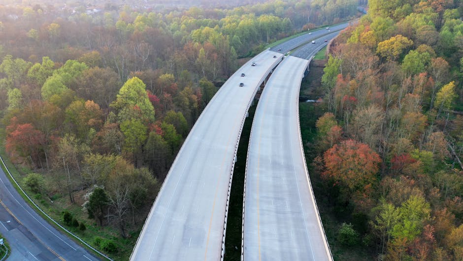 An aerial view of a multi-lane motorway with two elevated sections curving through a forested area displaying autumn colours, including green, orange, and red foliage. The highway is mostly clear with a few vehicles visible, and the scene is illuminated by natural daylight. The surrounding environment includes dense trees on both sides of the road, suggesting a rural or suburban setting. The image captures the extensive transportation infrastructure relevant to house removals and moving logistics, illustrating the type of roads used for vehicle transport to loading bays on Romford Road, Maryland, as part of a home relocation or furniture transport process. The perspective emphasizes the smooth, elevated road surfaces and the natural landscape, supporting the technical aspects of loading bay access and transport planning that Man with Van Maryland may coordinate with during their removals services.